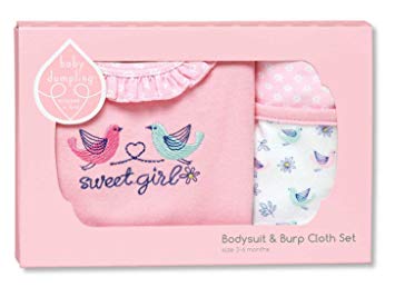 C.R. Gibson Bodysuit and Burp Cloth Set, Fits Sizes 3-6 Months, By Baby Dumpling - Little Birdie